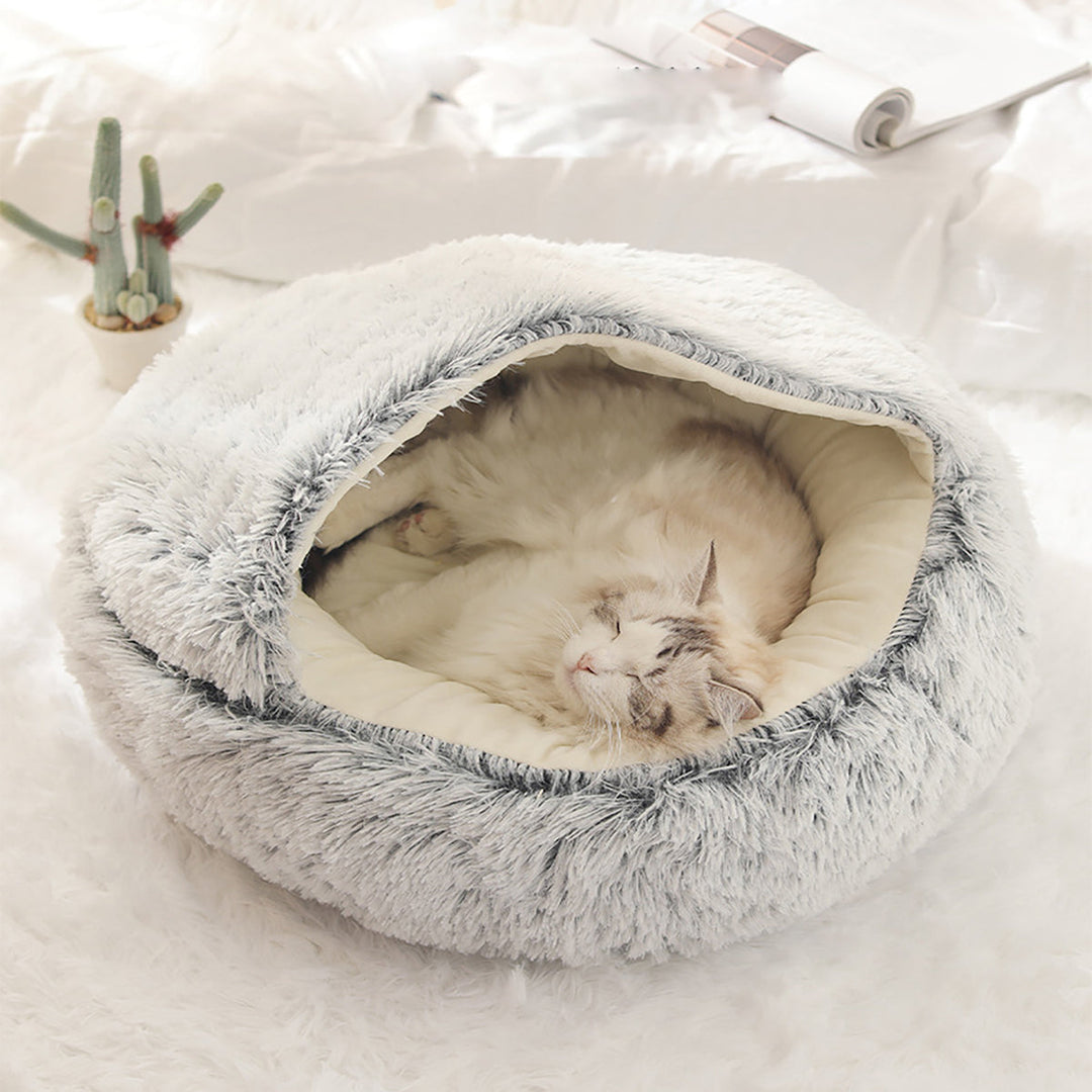 BowLift | ComfyPaws Dreamy Pet Retreat