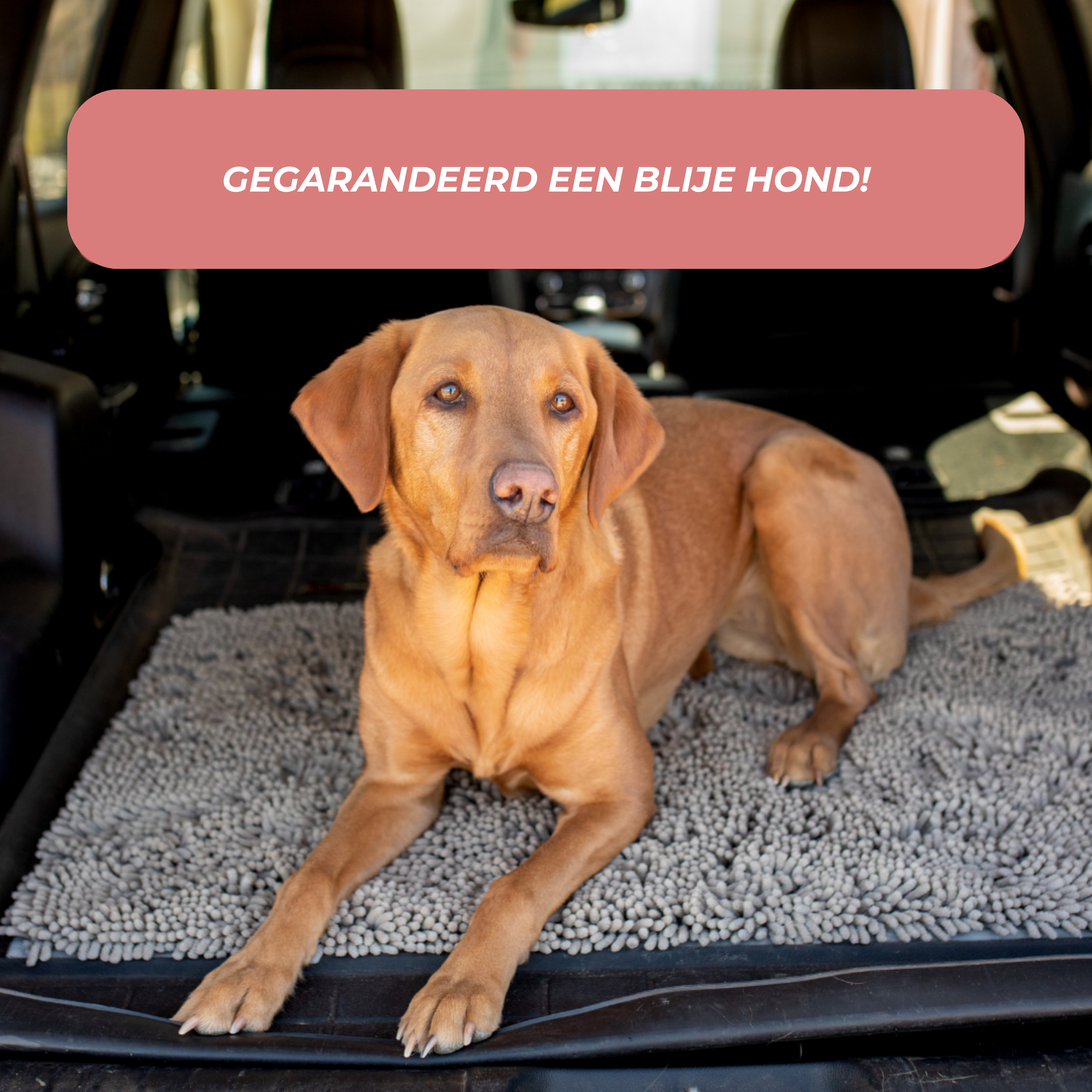 BowLift | Joep Dog Door Mat – Super Absorbent Mat for Dirty Paws