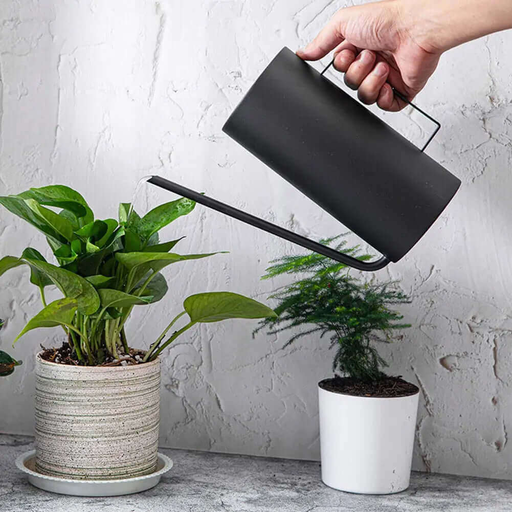 BowLift | Japanese 1.5L Bonsai Watering Can