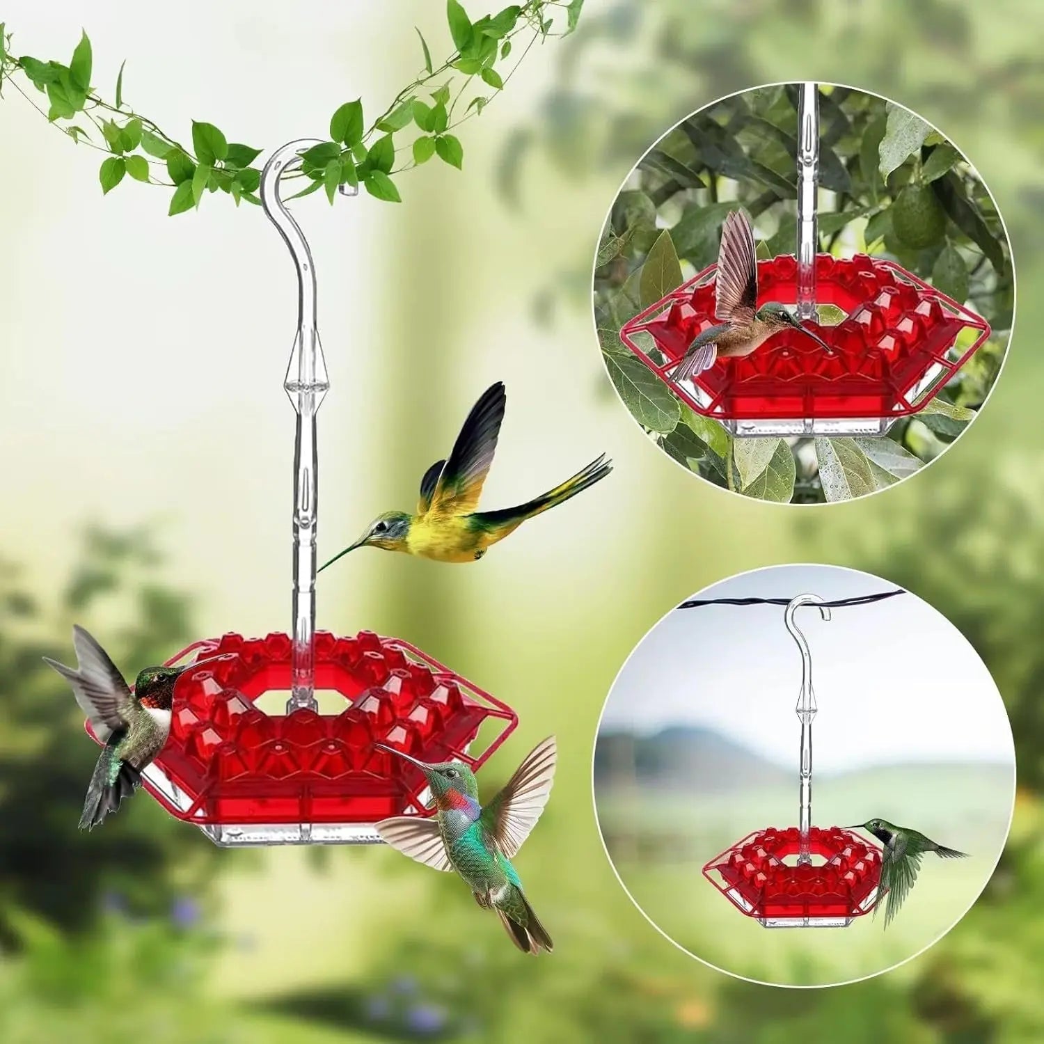 BowLift | Kolibri Feeder to Hang – For a Lively Garden Full of Color and Life