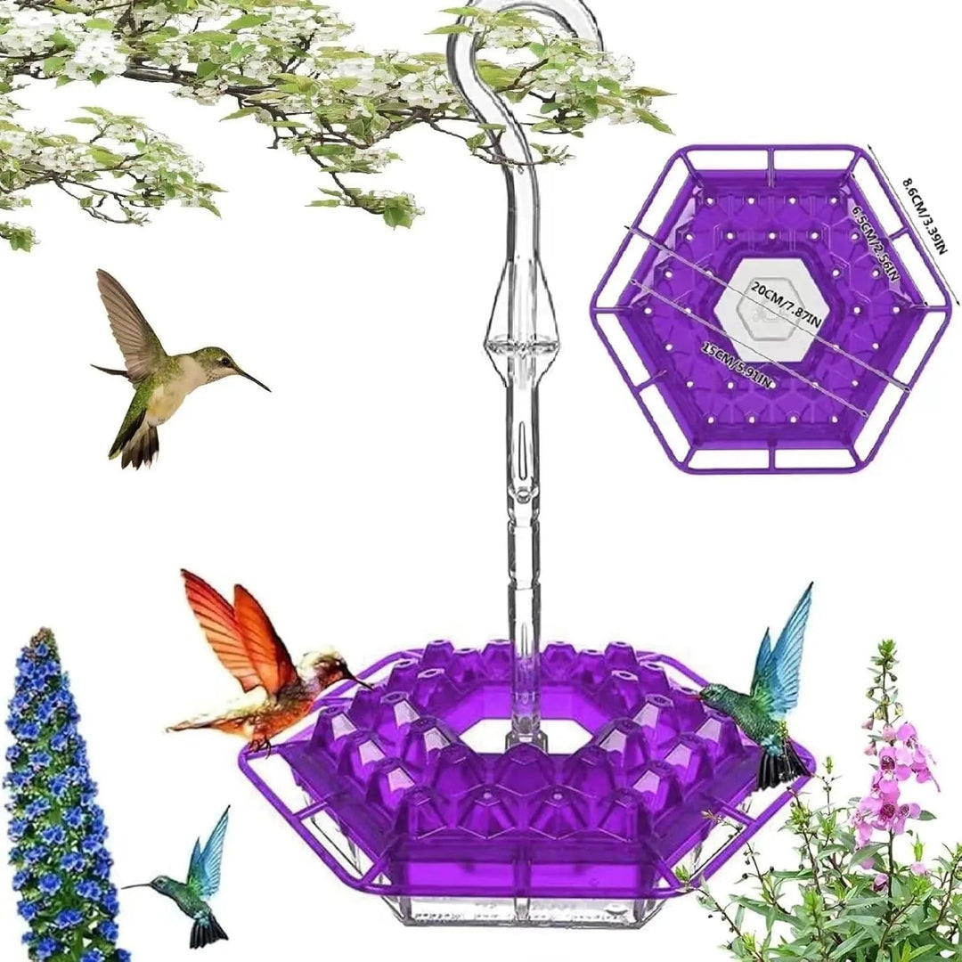 BowLift | Kolibri Feeder to Hang – For a Lively Garden Full of Color and Life
