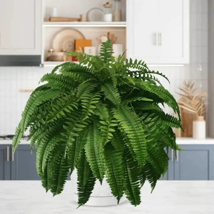 BowLift | Artificial Boston Fern Bundle - UV resistant & easy to care for (18 stems)