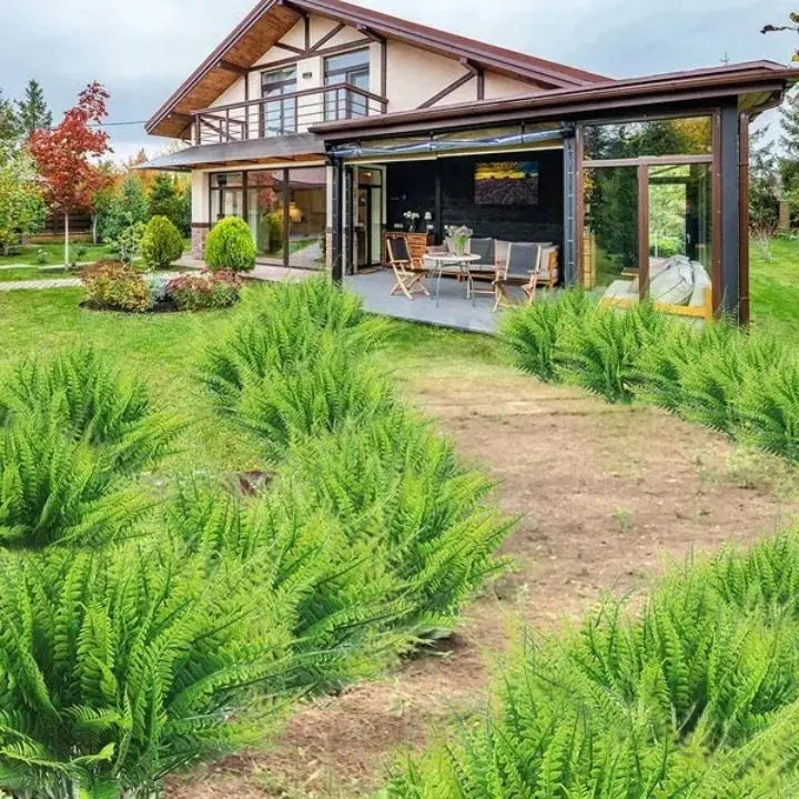 BowLift | Artificial Boston Fern Bundle - UV resistant & easy to care for (18 stems)