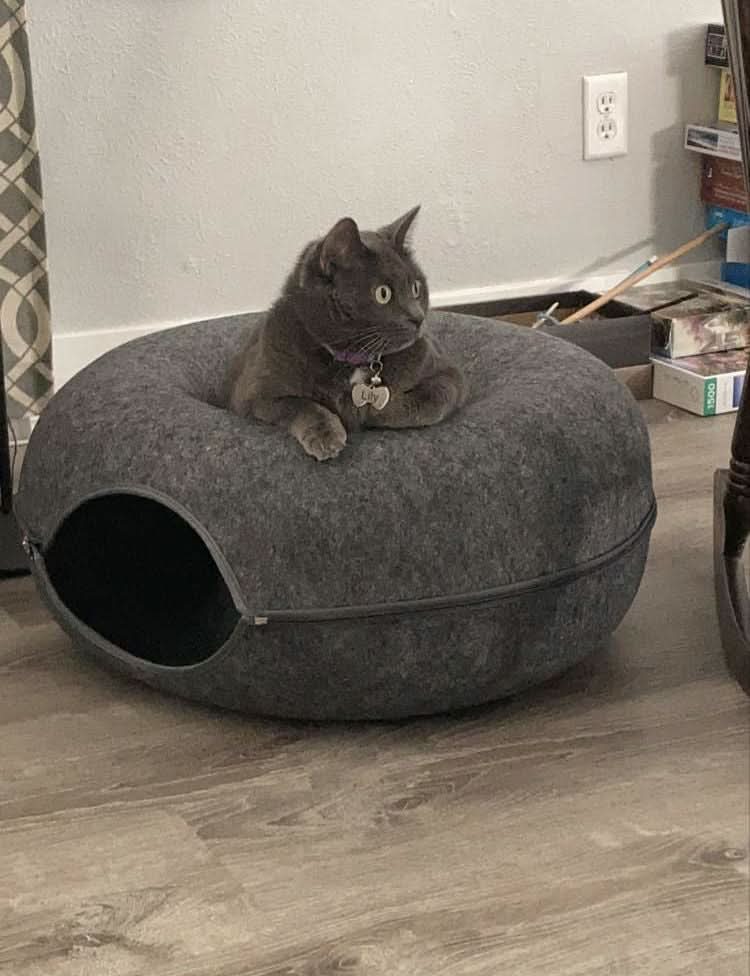 BowLift | Luxury cat tunnel with sleeping area