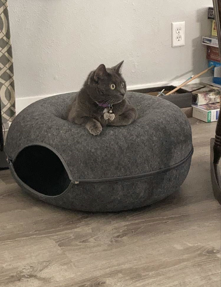 Purrfect Den - Luxury Cat Tunnel with Sleeping Spot Bowlift