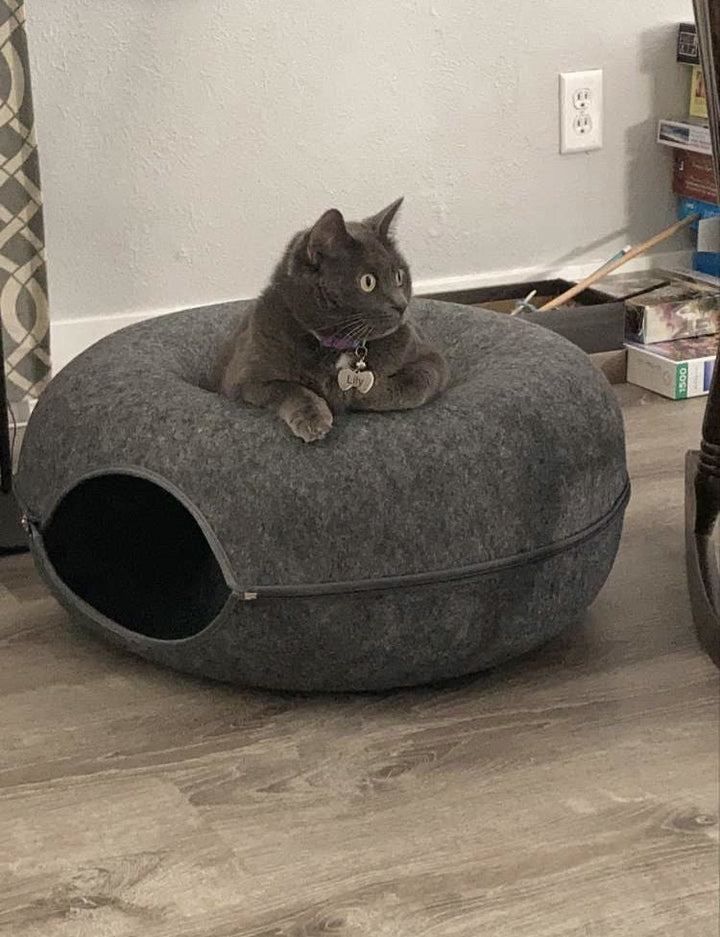 Purrfect Den - Luxury Cat Tunnel with Sleeping Spot Bowlift