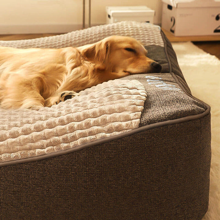 BowLift | CocoonChien | Optimal comfort for your companion