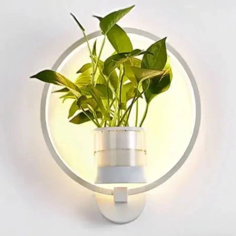 BowLift | Lumora Plant Wall Lamp - Stylish Lighting with Natural Greenery