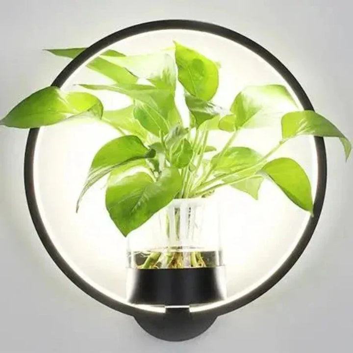 BowLift | Wall Light with Glass Plant Holder