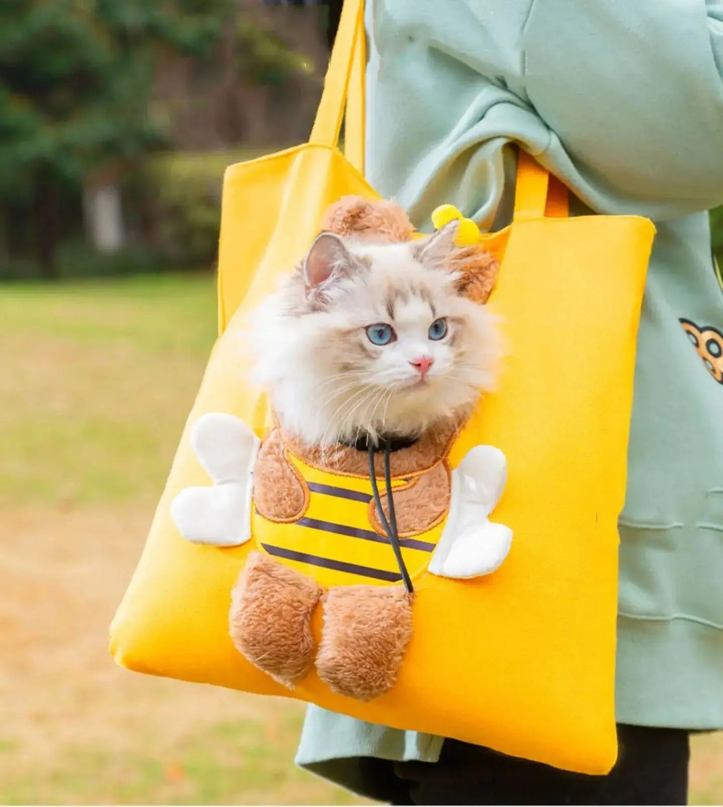 BowLift | Lightweight Canvas Tote Bag for Cats and Small Dogs