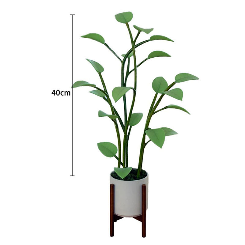 BowLift | Luminous Bloom | Magic LED Plant