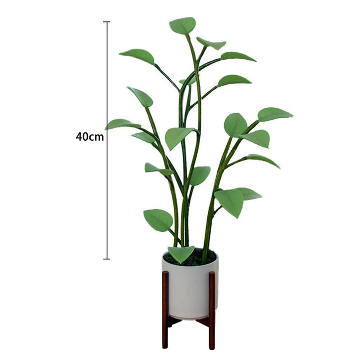 BowLift | Luminous Bloom | Magic LED Plant