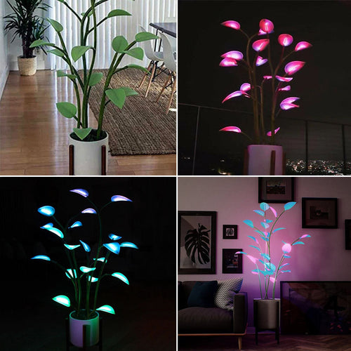 BowLift | Luminous Bloom | Magic LED Plant