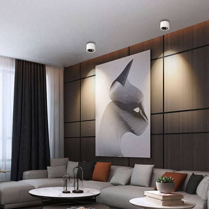 BowLift | Minimalistic LED Ceiling Light with Adjustable Spotlight