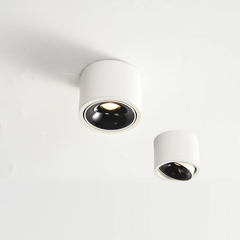 BowLift | Minimalistic LED Ceiling Light with Adjustable Spotlight