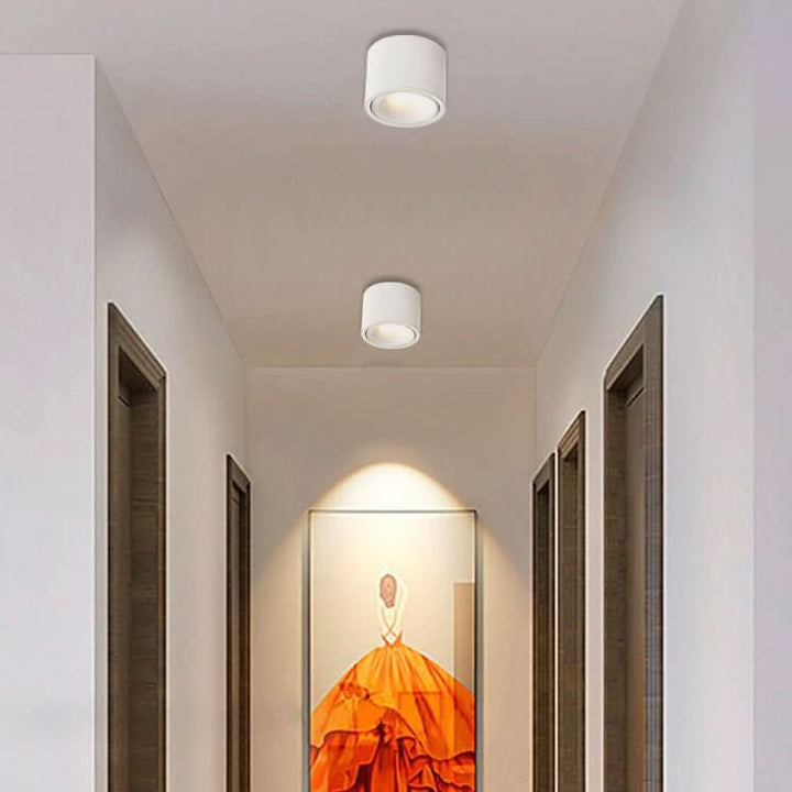 BowLift | Minimalistic LED Ceiling Light with Adjustable Spotlight