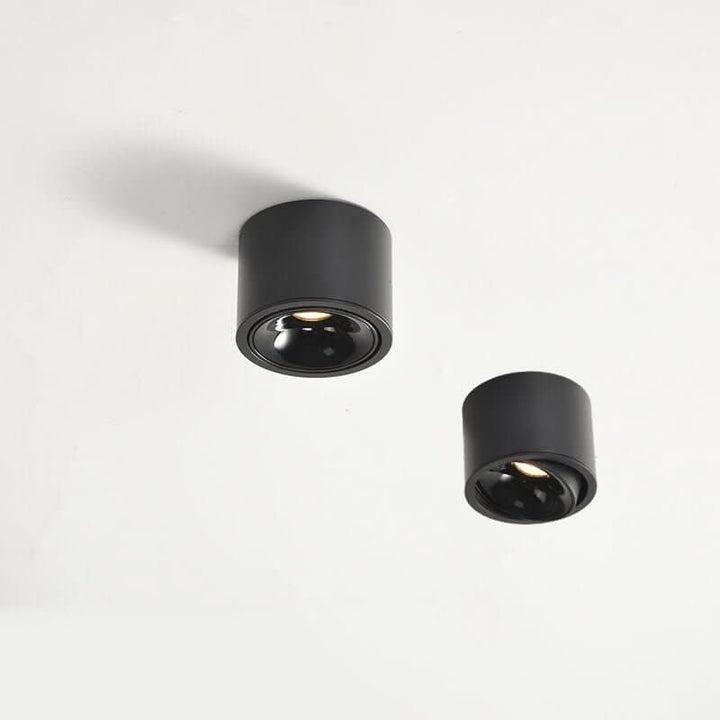 BowLift | Minimalistic LED Ceiling Light with Adjustable Spotlight