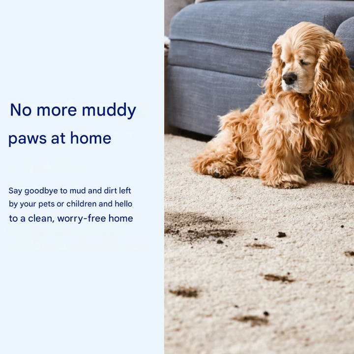 BowLift | Super Absorbent Dog Mat – PawMat