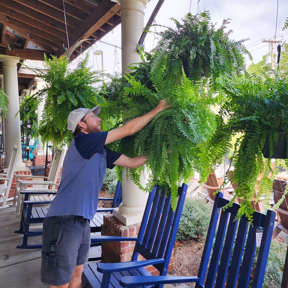 BowLift | UV Resistant Artificial Boston Fern | Lifelike, Waterproof & Maintenance-Free for Outdoor Décor