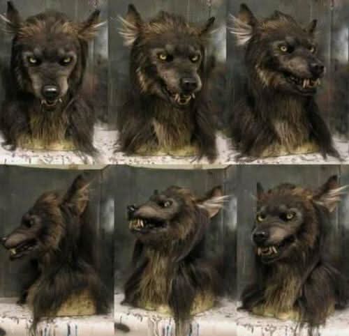 BowLift | Realistic Werewolf Mask for Halloween & Cosplay