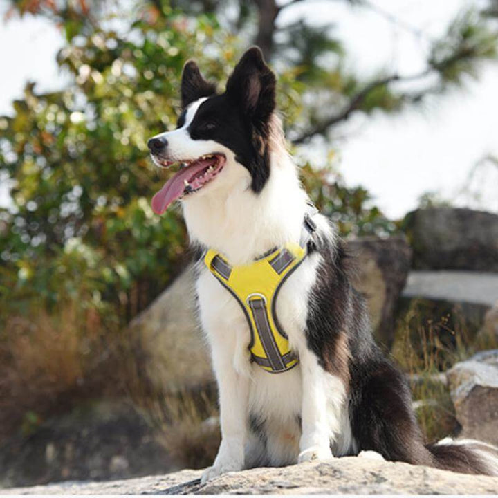BowLift | Multifunctional explosion-proof anti-pull harness for medium to large dogs harness