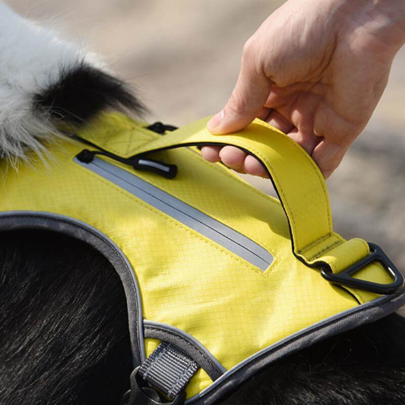 BowLift | Multifunctional explosion-proof anti-pull harness for medium to large dogs harness