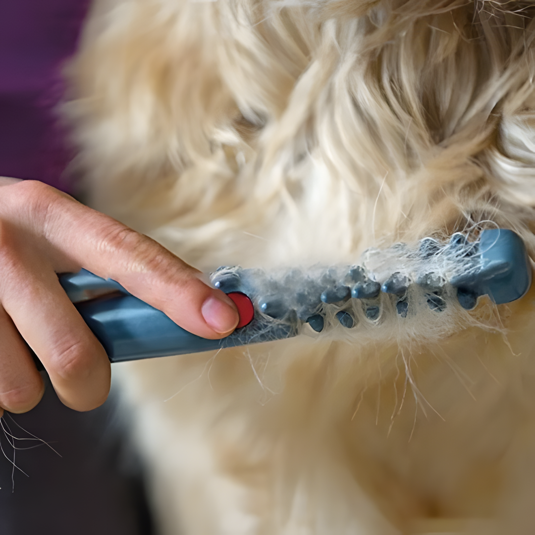 BowLift | No More Knots and Tangles for Pets