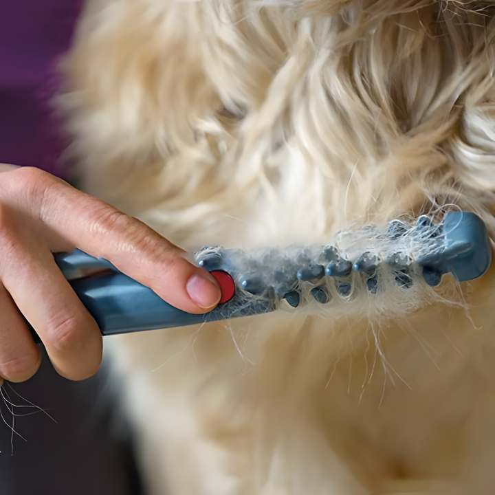 BowLift | No more knots and tangles for your pet