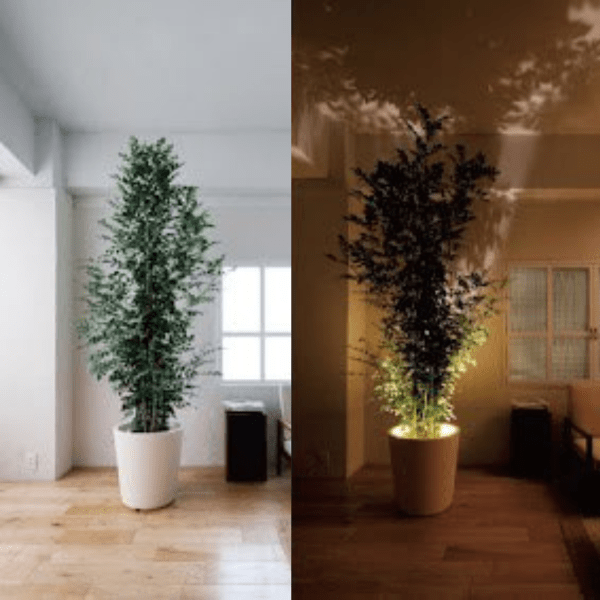 BowLift | Viva-projector lamp LED light source Compact Design