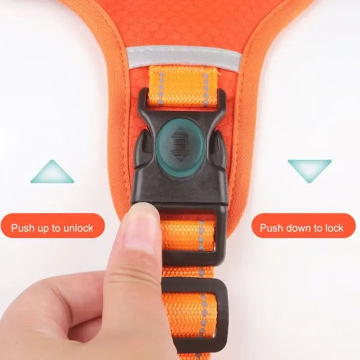 BowLift | No-Pull Dog Harness with Reflective Nylon