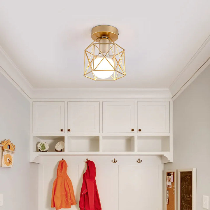 Modern ceiling light with golden metal grid – Stylish lighting for hallway and living room | Bowlift