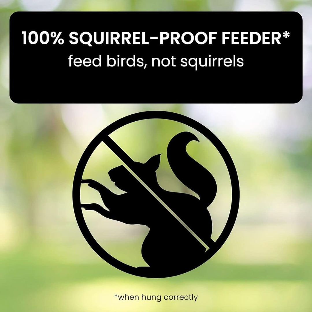 BowLift | Squirrel-Proof Birdhouse with weight-controlled feeder