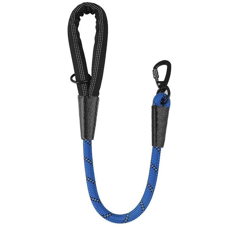 Dog Leash
