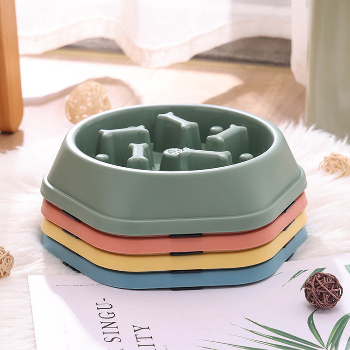 Slow Eating Feeding Station for Dogs Bowlift