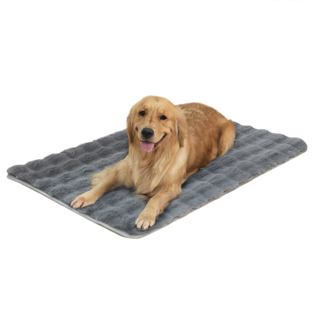 Unisex Cozy Dog Pillow Bowlift