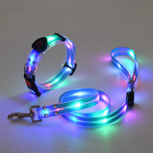 LED Dog Collar with Leash – NightBright Bowlift