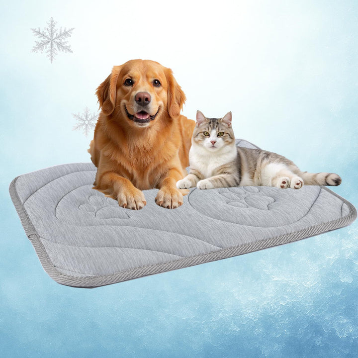 Pet Sleep Mat Bowlift