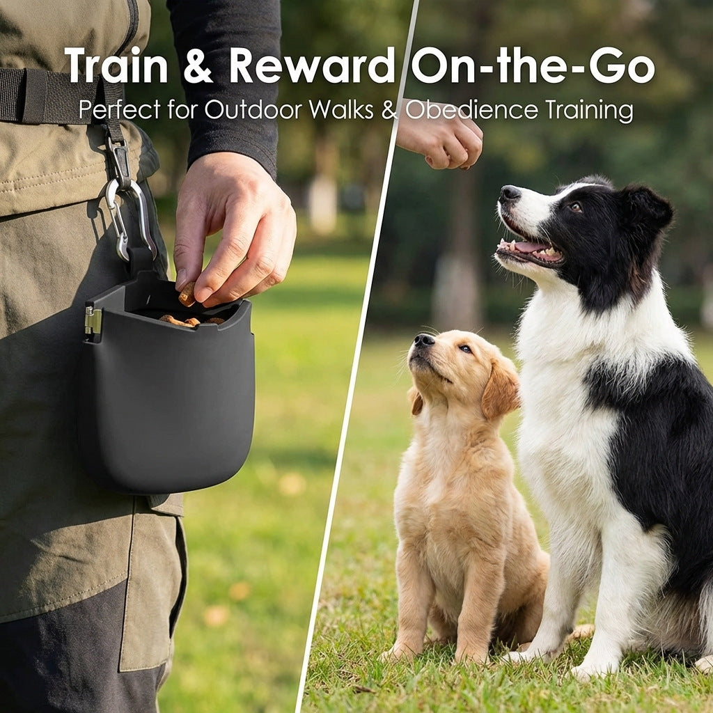 Silicone Dog Treat Pouch Bowlift