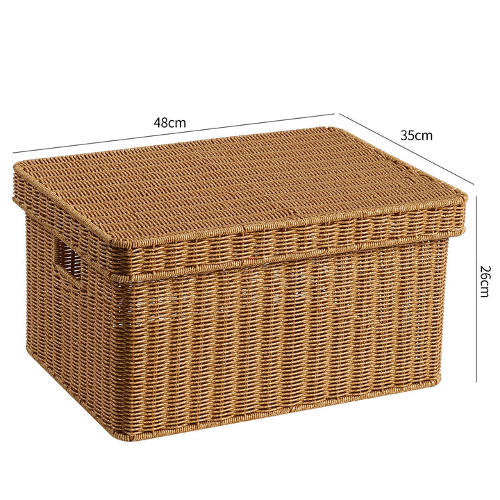 Handwoven Decorative Storage Chest Bowlift