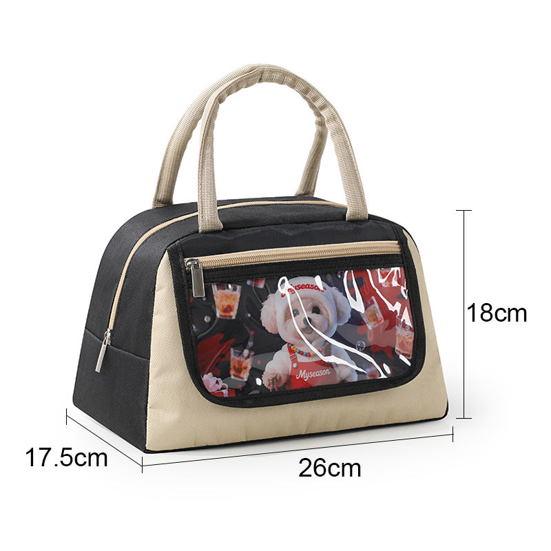 Stylish Clear Pet Carrier Tote
