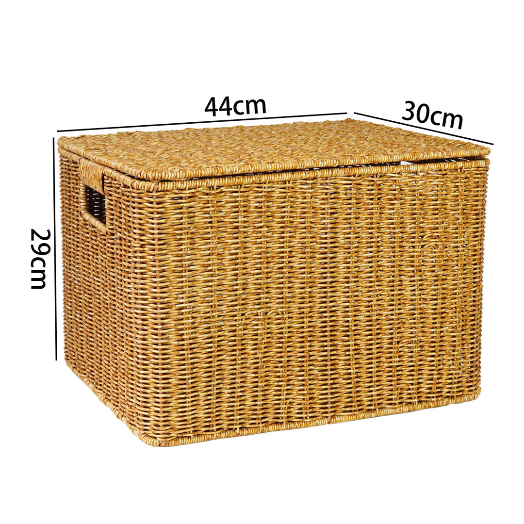 Ladies Generous Storage Basket with Lid Bowlift
