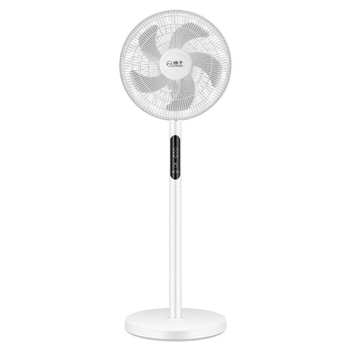 Ladies Stand Fan Bowlift