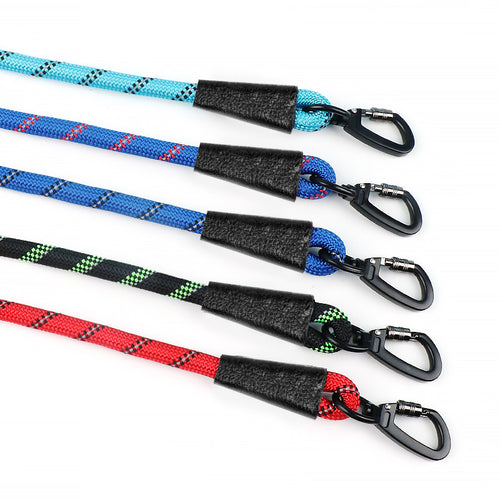 Dog Leash
