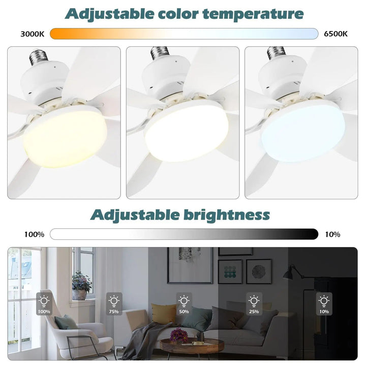 Colorful Ceiling Fan Bowlift
