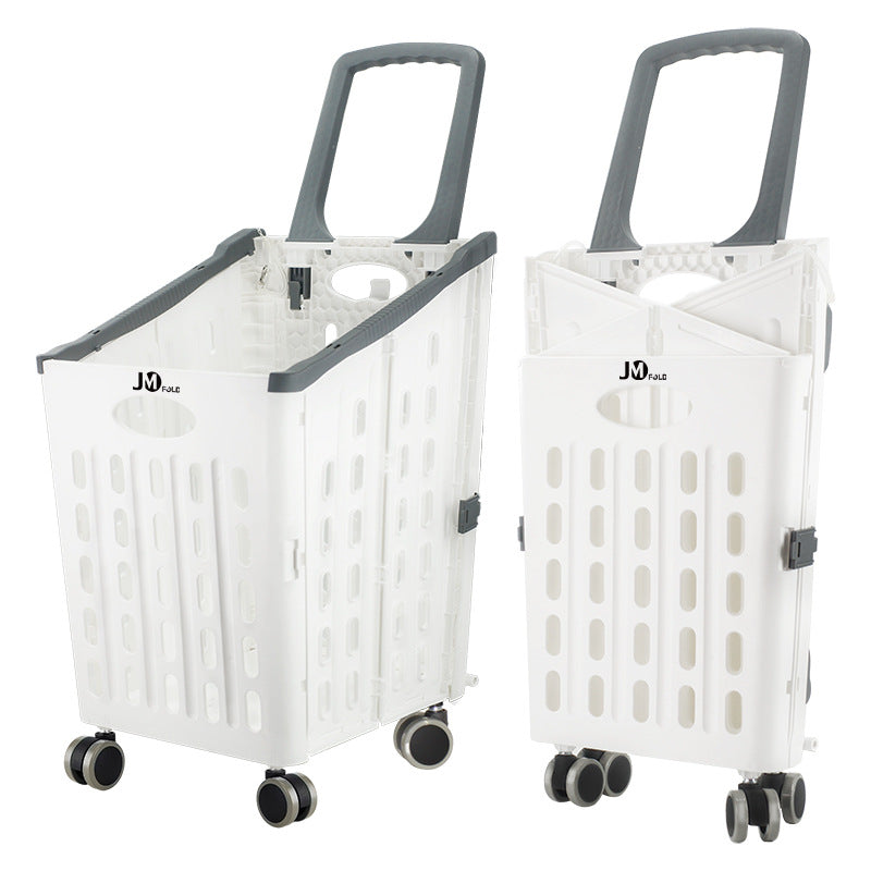 Portable Rolling Storage Bin Bowlift