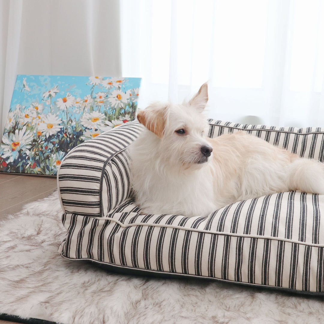 Striped Orthopedic dog Sofa
