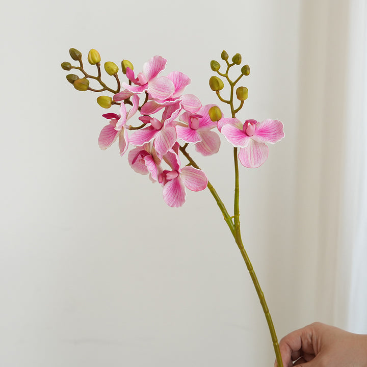Elegant Orchid Stems Bowlift