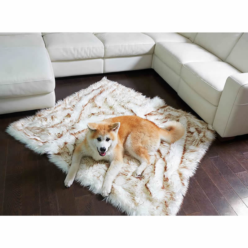 Unisex soft pet blanket with luxurious plush Bowlift