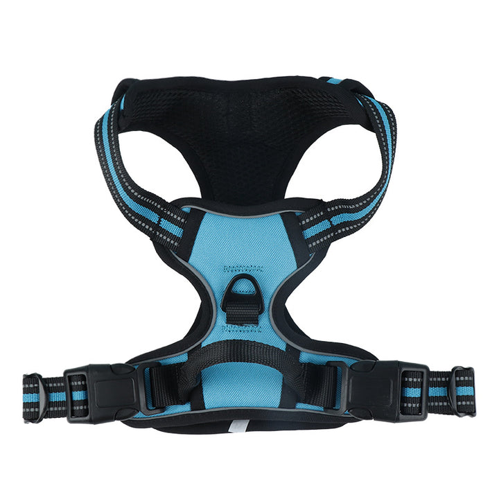 Comfortable Adjustable Dog Harness and Leash Set