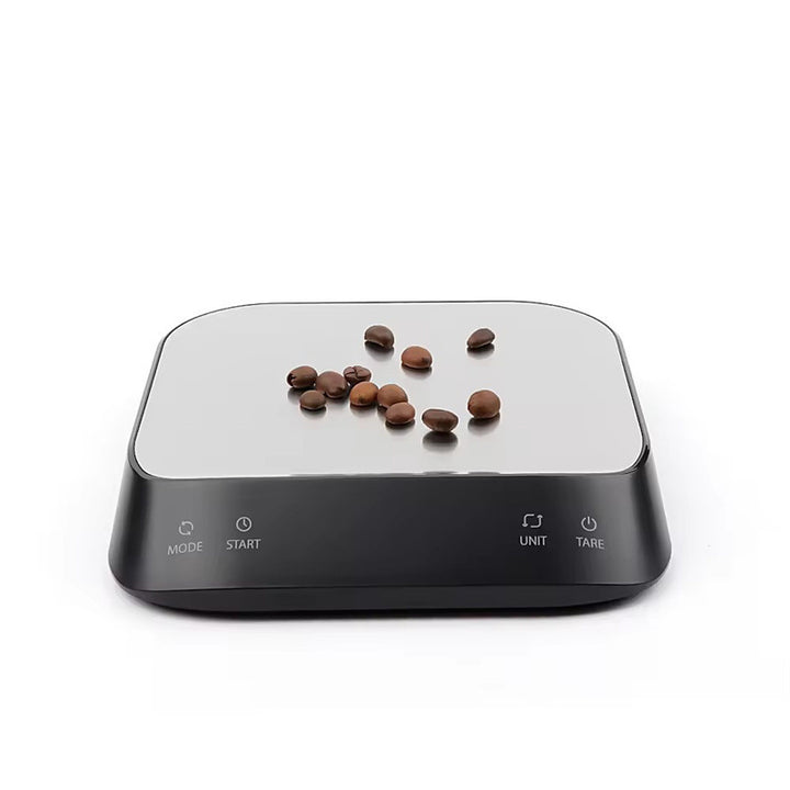 Precision Digital Scale